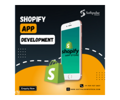 Build Customize Shopify Application For Your Ecommerece Store