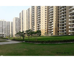 Super Excellent Flats For Rent In Fusion Homes | Starting Rent From 10,000/-