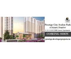 Prestige City Avalon Park Apartments | 3 BR - Residential Project With The Most Respected Name