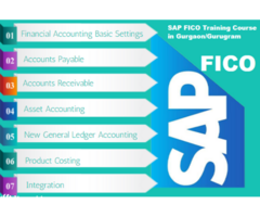SAP Finance Certification Course in Delhi, Noida, Ghaziabad with Tally and SAP FICO Software by CA, 