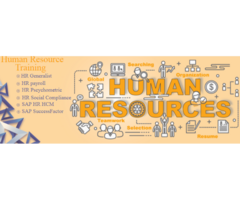 HR Course in Delhi with Free SAP HR/HCM Training, 100% Job, SLA Consultants India