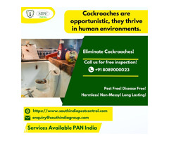 Cockroach  Control in Bangalore