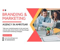 Branding & Marketing Agency in Amritsar