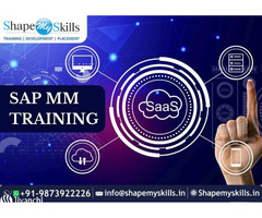Make Your Career | SAP MM Training In Noida | ShapeMySkills
