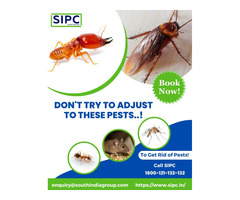 Best Pest Control in Hyderabad