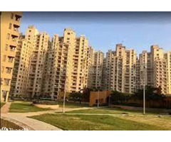 Luxury Living Redefined: 2 & 3BHK Flats in Sector 50, Gurgaon