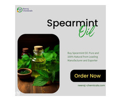 Spearmint Oil Wholesalers in Sambhal