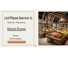 LID Plaza Gurugram: A Vision for the Future