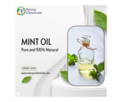 Mint Oil Wholesalers in Sambhal