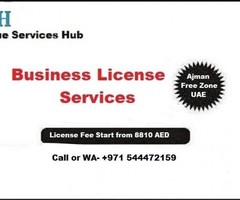 Business setup services in UAE - Image 2