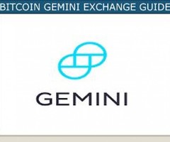 What Cryptocurrencies Does Bitcoin Gemini Support?
