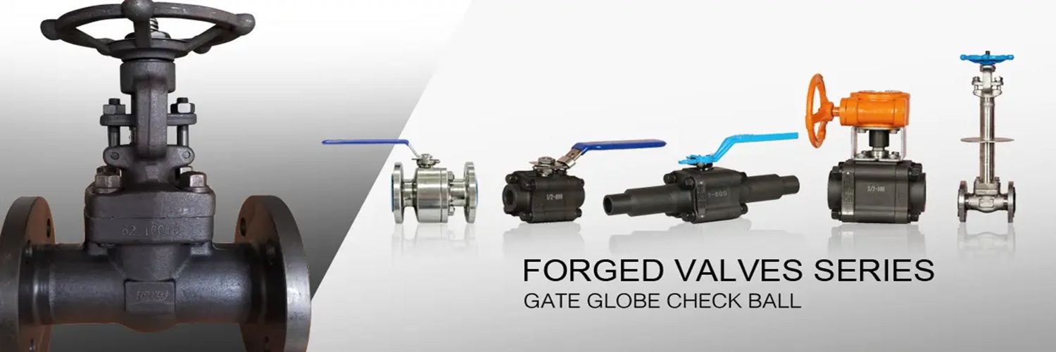 Forged Valves cover image
